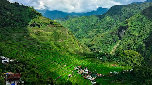 Care este capitala Filipinelor?