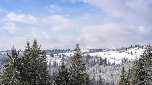 Din ce grupa de munti fac parte muntii Piatra Craiului?