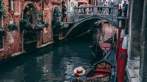 Cum se numeste trofeul acordat la Festivalul International de Arta Cinematografica de la Venetia?