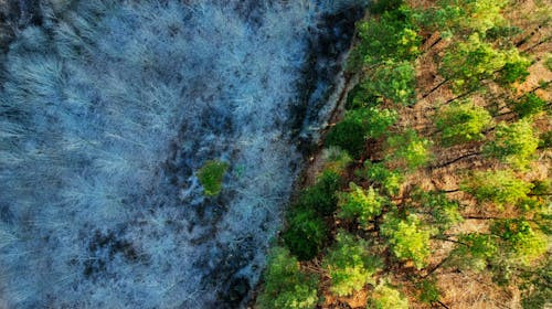 In ce anotimp te simti cel mai confortabil?