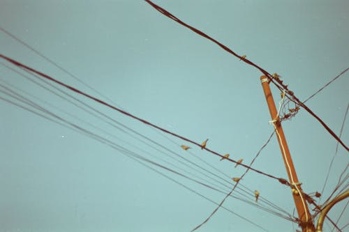Cum se numesc firele subtiri realizate pentru transmiterea semnalelor electrice cu viteza foarte mare?