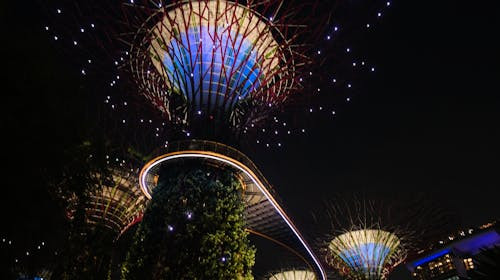 Ce activitate de seara preferi?