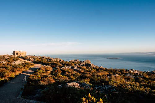 Africa de Sud are trei capitale. 