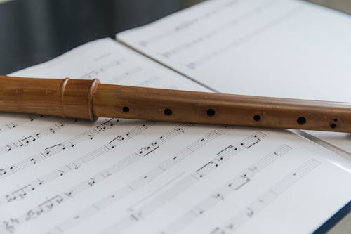 Flautul este cel mai vechi instrument muzical cunoscut. 
