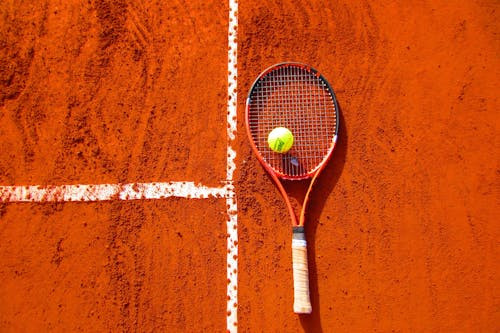 Cine a castigat in anul 2009 turneul de la Wimbledon, proba masculina?