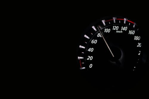 Care este cel mai rapid animal terestru, avand o viteza de 110 km/h?