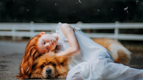 Ce rol joaca emotiile in deciziile tale?