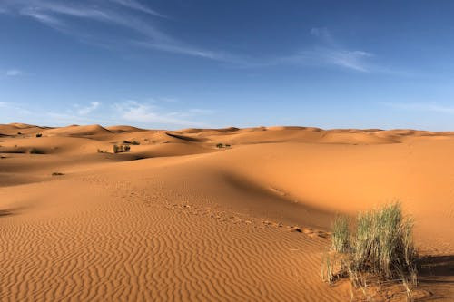 Ce dimensiune are desertul Sahara? (in km patrati)