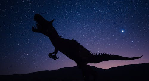 In ce an a fost descoperita prima fosila de dinozaur?