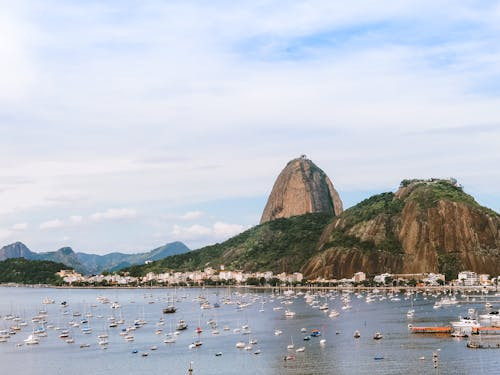 Care este capitala Braziliei?