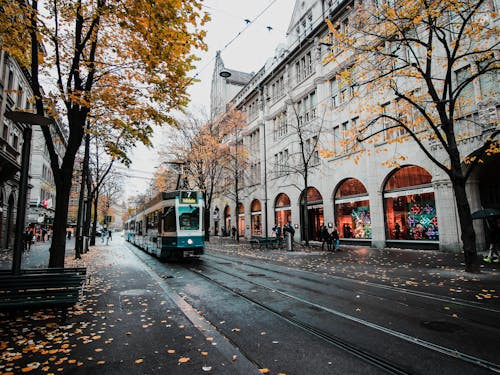 Care este capitala Elveției?