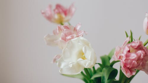 Care a fost cea mai importantă lecție emoțională pentru tine în ultimii ani?