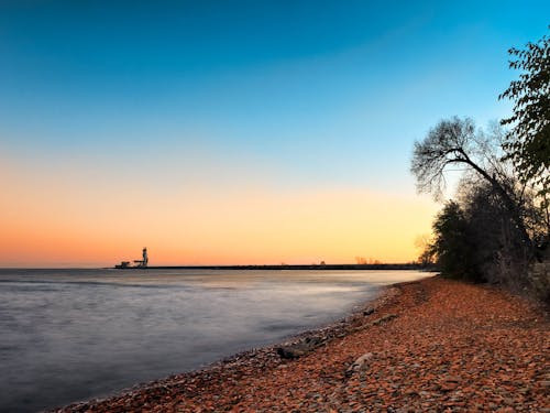 Prima ta reacție când realizezi că ești pe o insulă pustie: