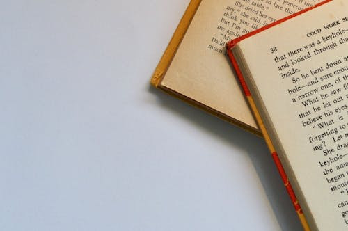 Cine a scris romanul „Morometii”?