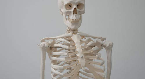 Ce lungime pot atinge unghiile unui om in decursul unui an?