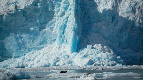 Ce țară este cunoscută drept „Țara Fiordurilor”?