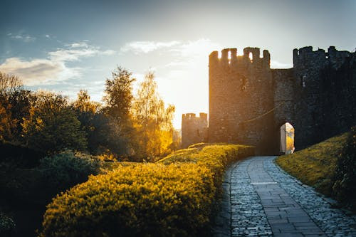 În cât timp ajung razele Soarelui pe Pâmânt?