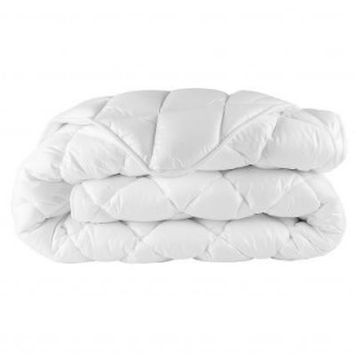 Plapuma intretinere usoara 500g/m2