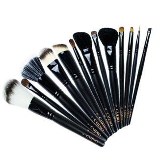 Set 13 pensule profesionale Cupio