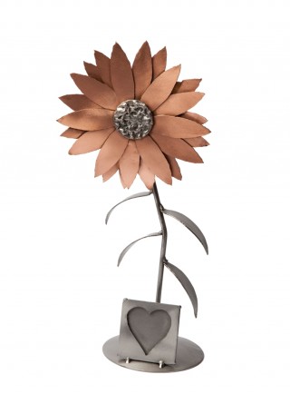 Rama foto - Floarea Soarelui