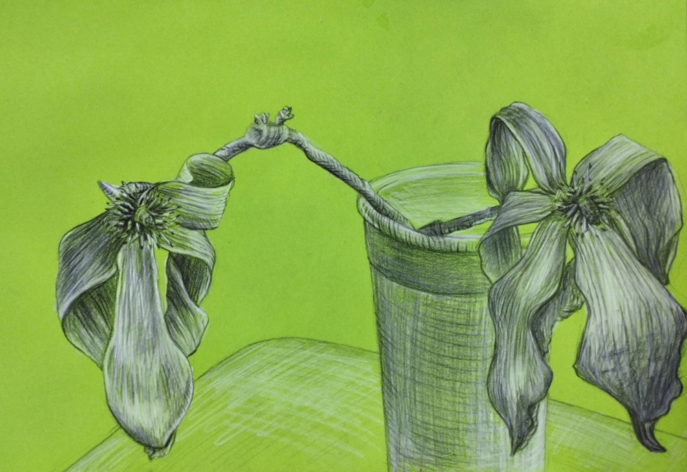 bianca maldarescu art safari