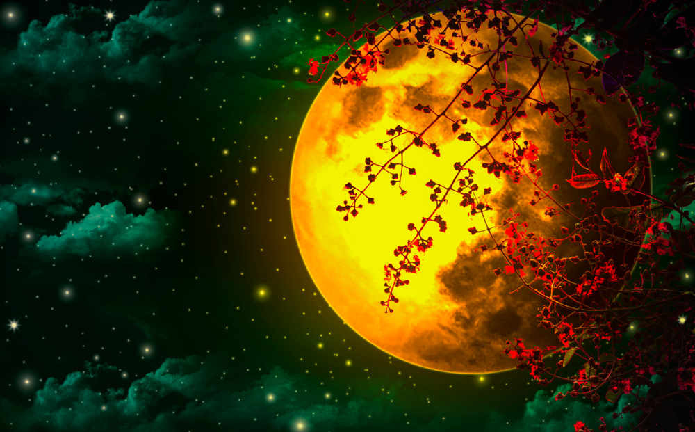 horoscop taur luna plina