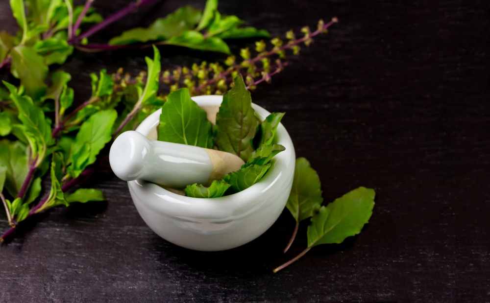 Busuioc sfant sau Tulsi pe o masa si intr-un mojar.