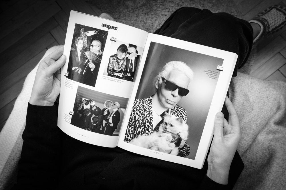 Choupette, pisica milionară care a primi 1,5 milioane de dolari de la Karl Lagerfeld riscă să ajungă la sapă de lemn