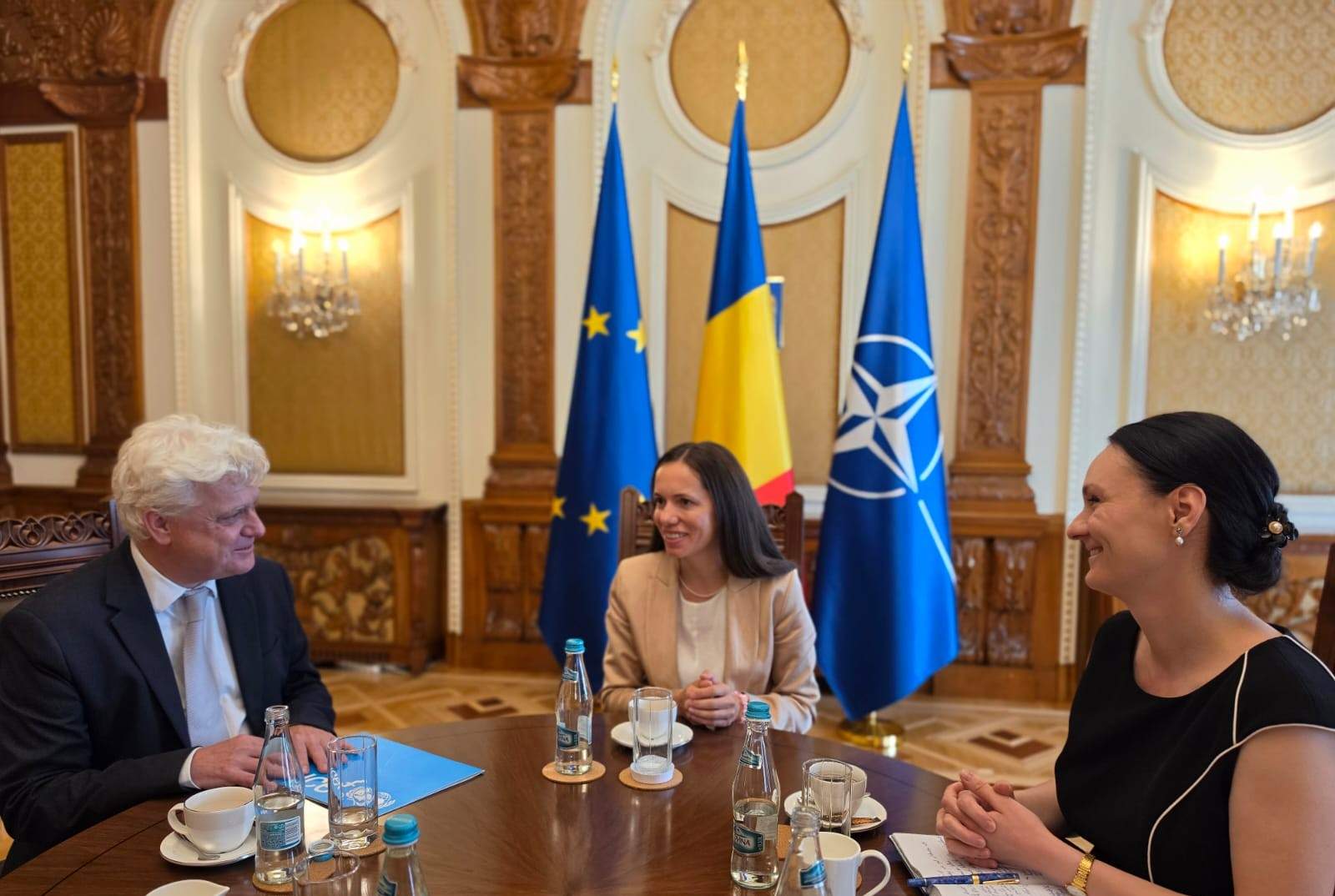 Prima Doamnă a României, Mirabela Grădinaru, s-a întâlnit marți cu o delegație UNICEF