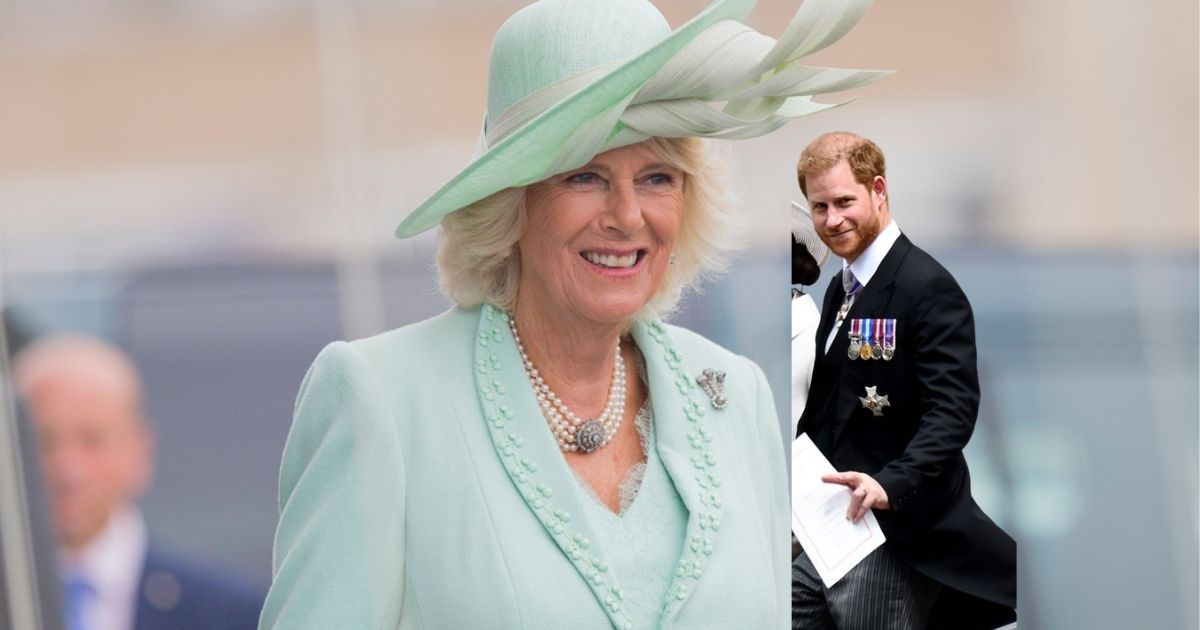 Camilla, gest neașteptat față de Prințul Harry, pentru a-l susține pe Regele Charles